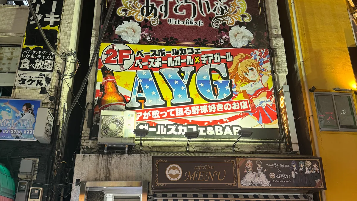 tokyo akihabara street scene with vibrant cafe signage and urban otaku culture storefronts