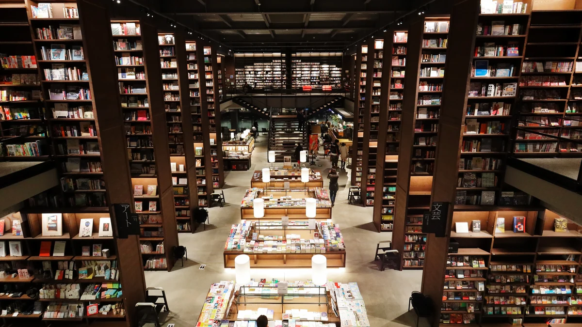 what is a light novel japanese bookstore shelves displaying paperback collections